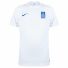 Original Fußballtrikot Griechenland 2023-24 Ausweichtrikot Für Herren